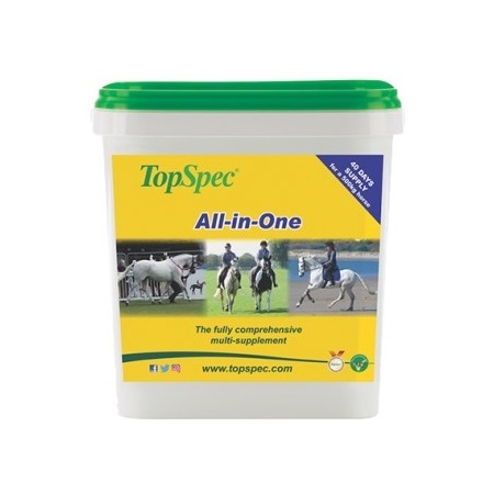 ts allinone